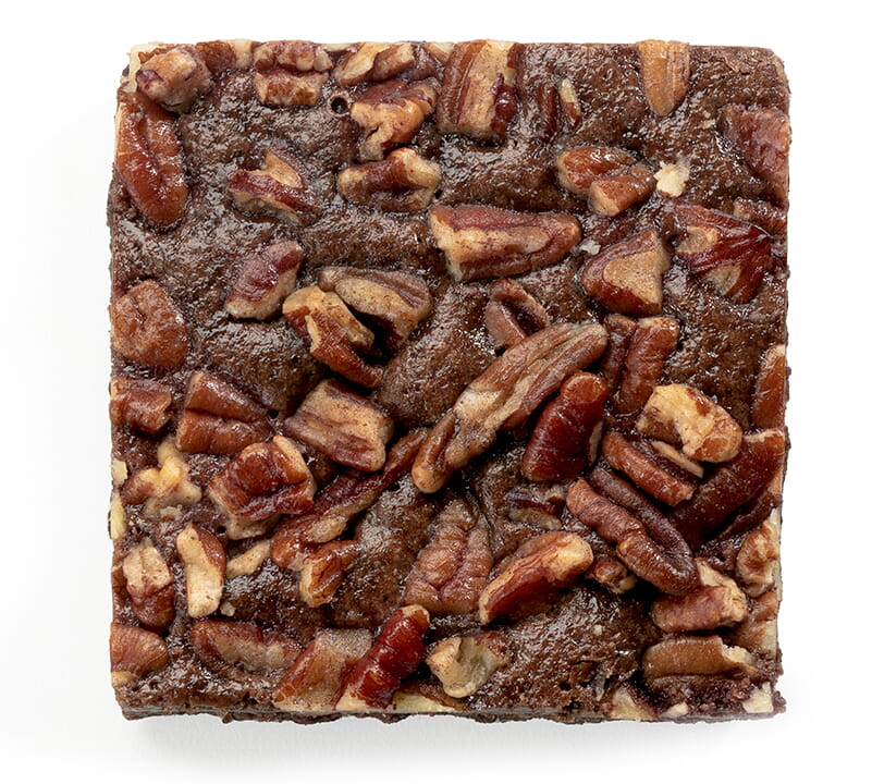 Pecan Chocolate Brownie
