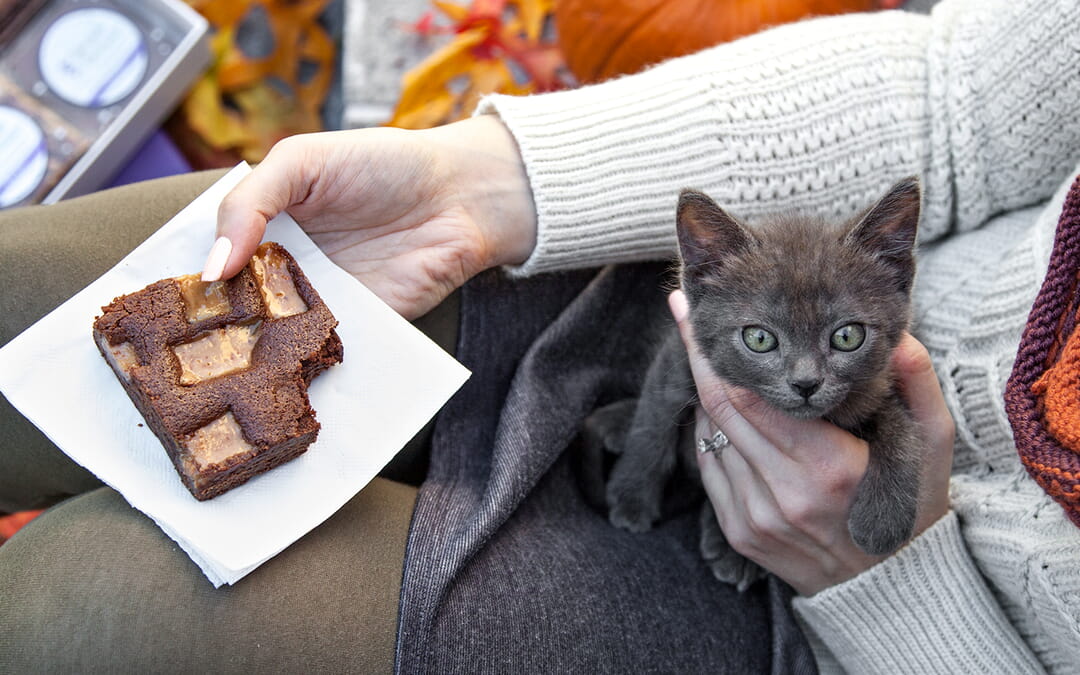 6 Easy Halloween Treats to Keep Things Sweet