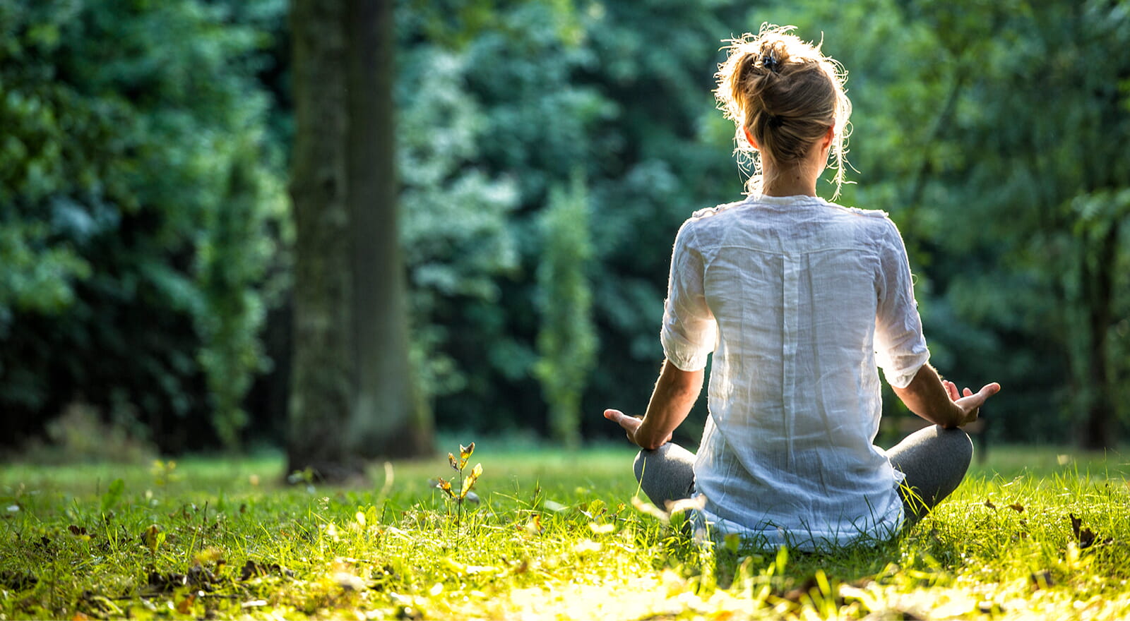 meditate